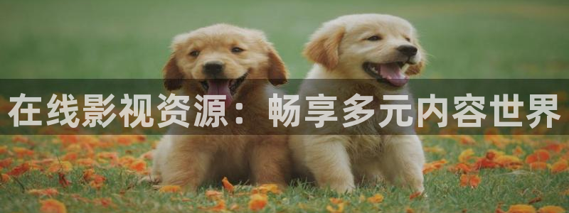 97免费视频观看