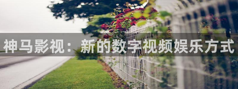 97福利影院在线观看