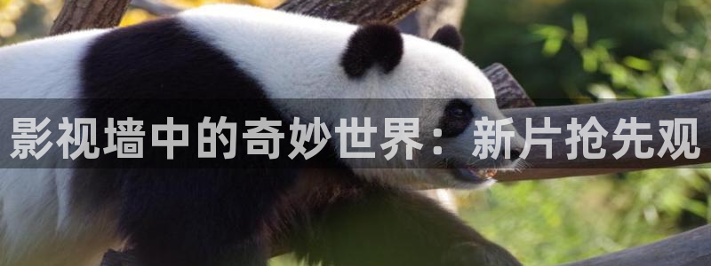 97成人精品影院